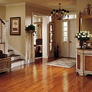 Hardwood/Laminate/Ceramic Tile Flooring